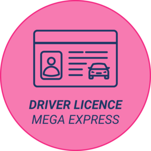 Driver Licence / Licencia de Conducir (MEGA EXPRESS - 3 horas)